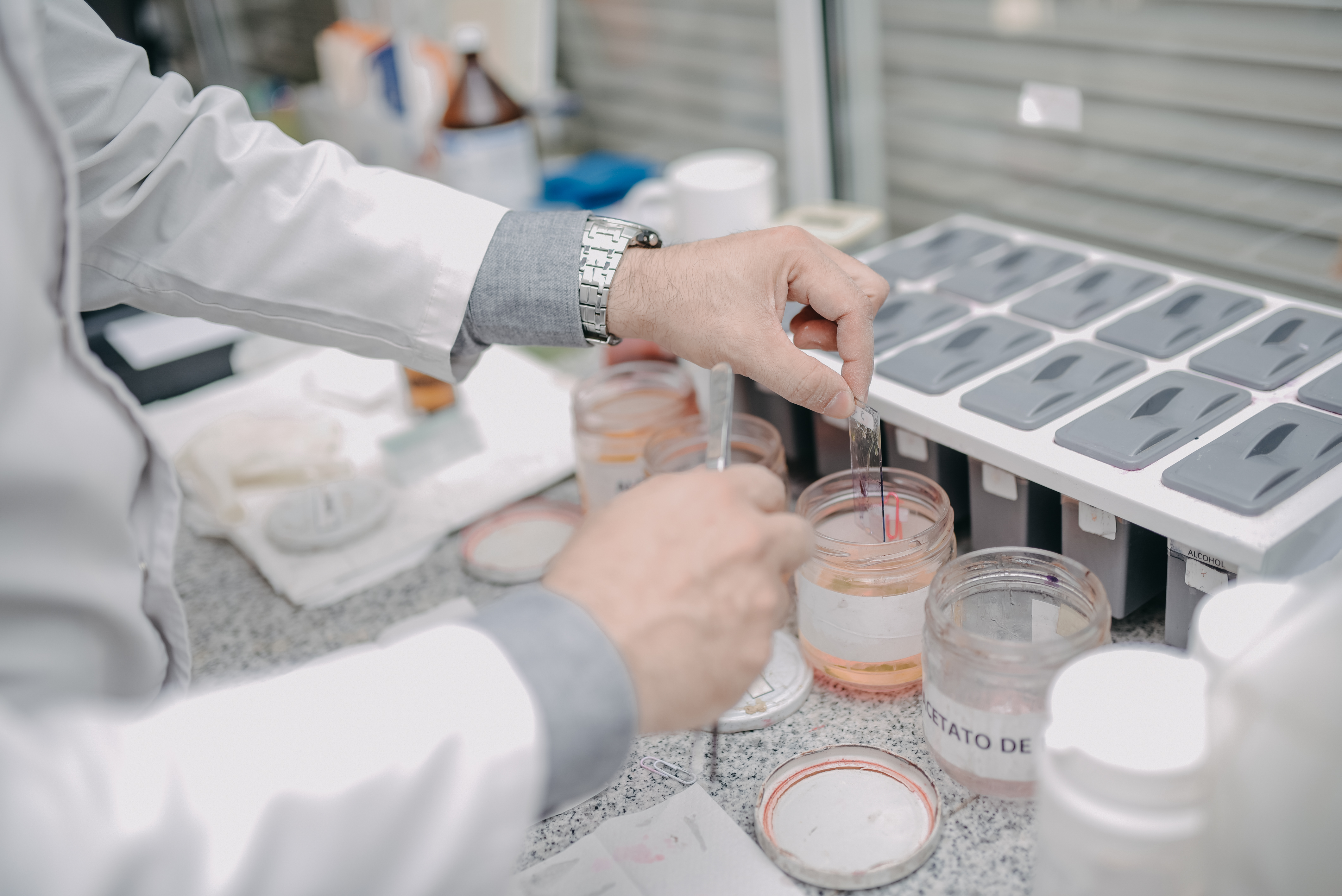 Laboratorio