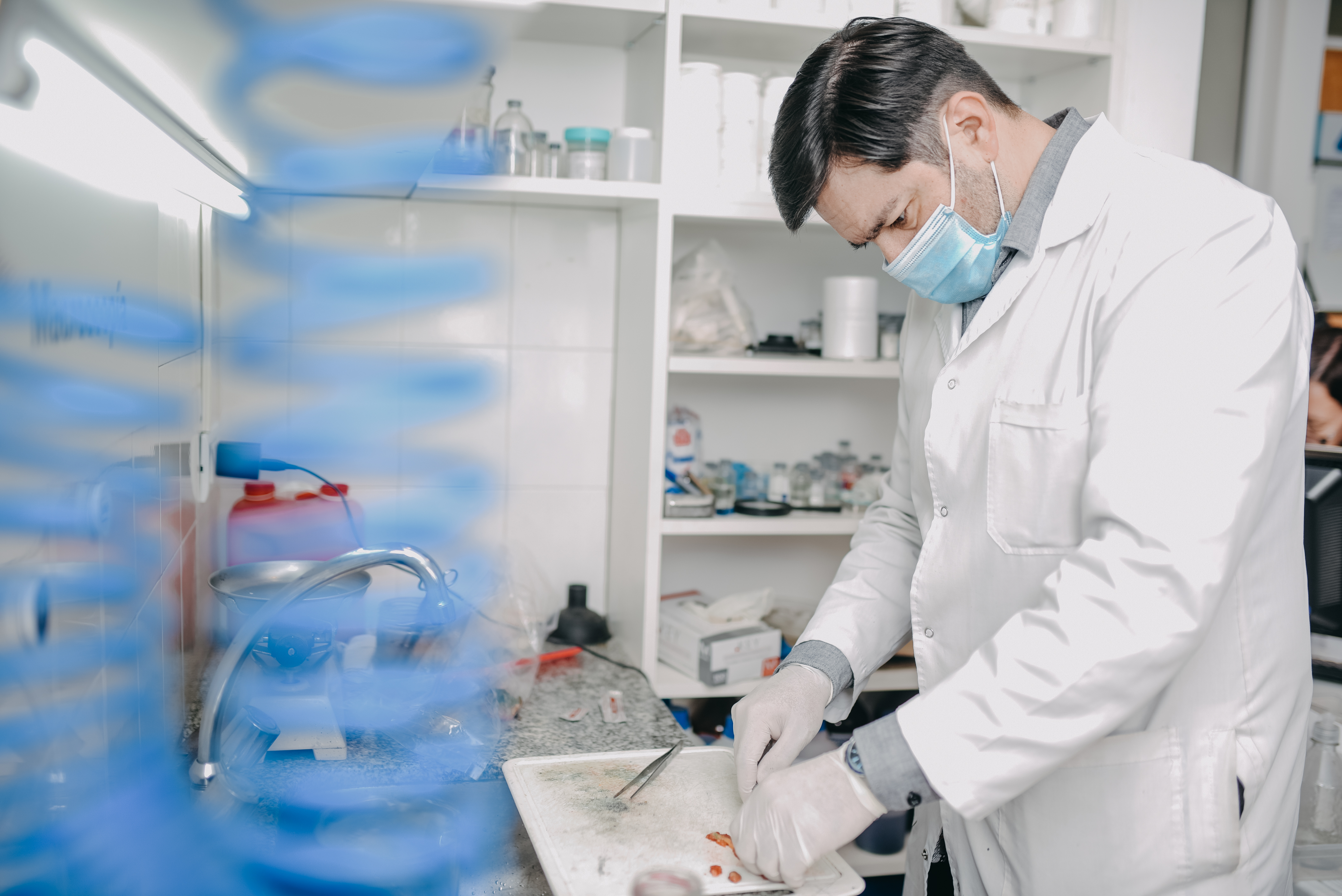 Laboratorio